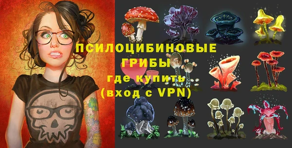 прущие крисы Абаза