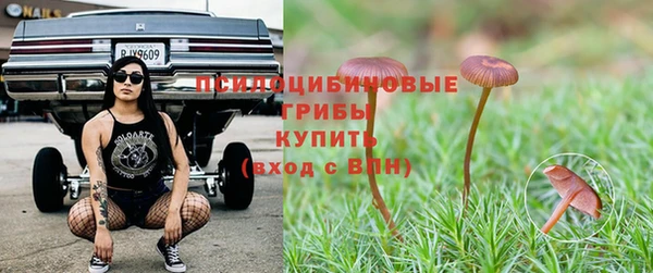 прущие крисы Абаза