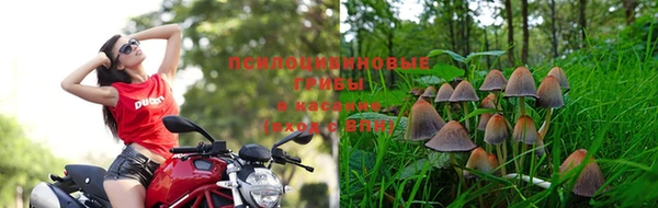 прущие крисы Абаза