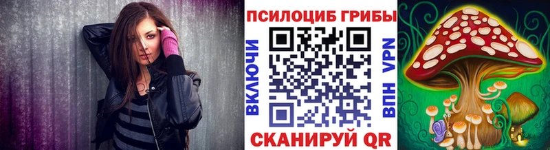 гидра   продажа наркотиков  Ковдор  Галлюциногенные грибы Psilocybine cubensis 